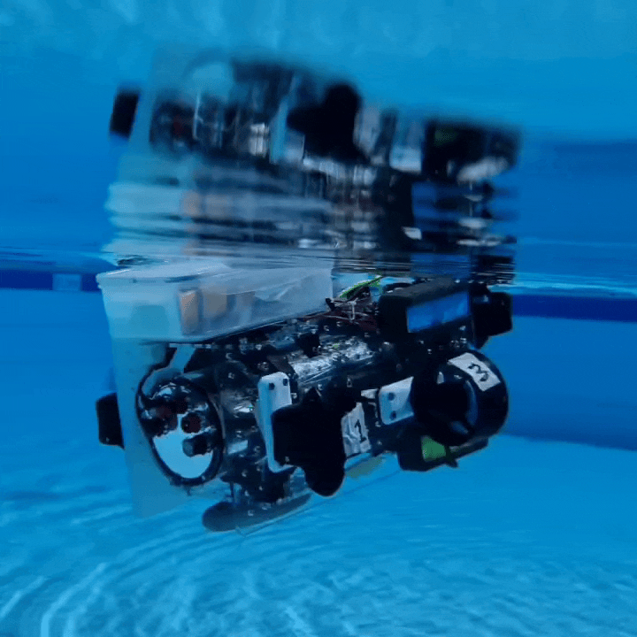 Autonomous Underwater Vehicle