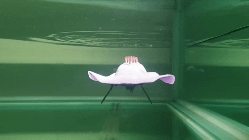 Bio-Inspired Underwater Robot